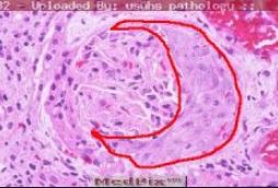 Imagem da questão