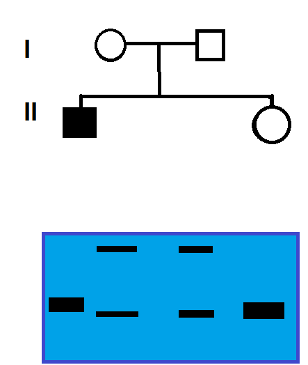 Imagem da questão