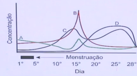 Imagem da questão