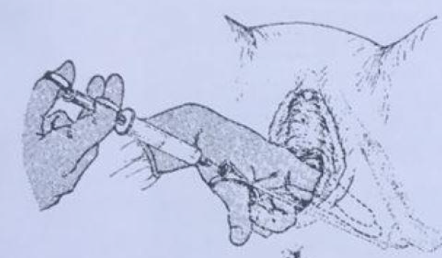 Imagem da questão