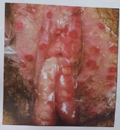Imagem da questão