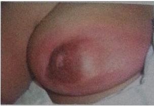Imagem da questão