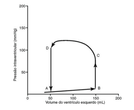 Imagem da questão