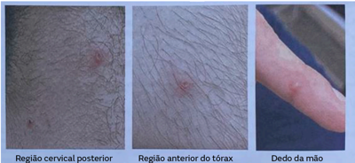 Imagem da questão