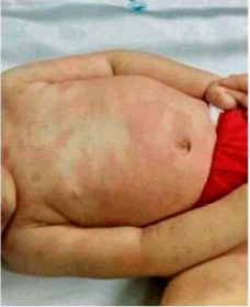 Imagem da questão