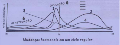 Imagem da questão