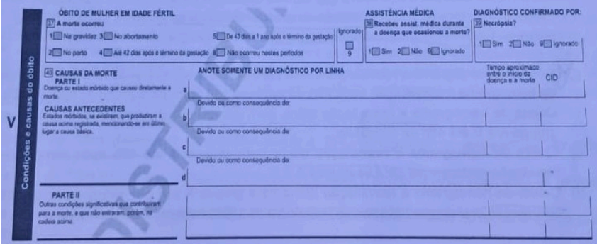 Imagem da questão