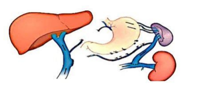 Imagem da questão