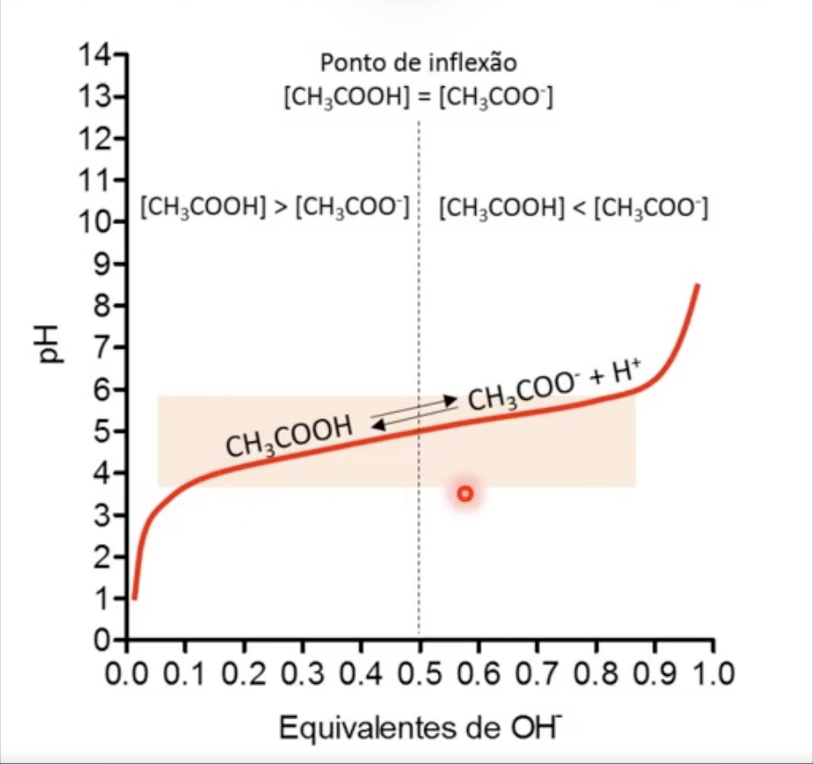 Gráfico pH vc Quantidade de Base adicionada