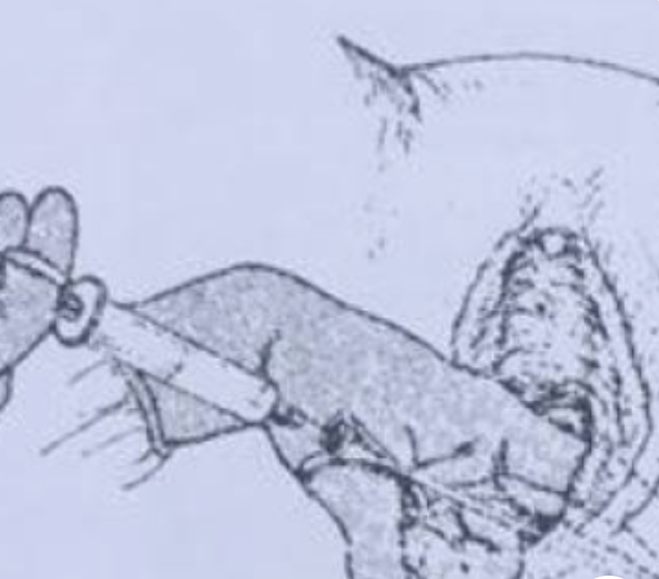 Imagem da questão