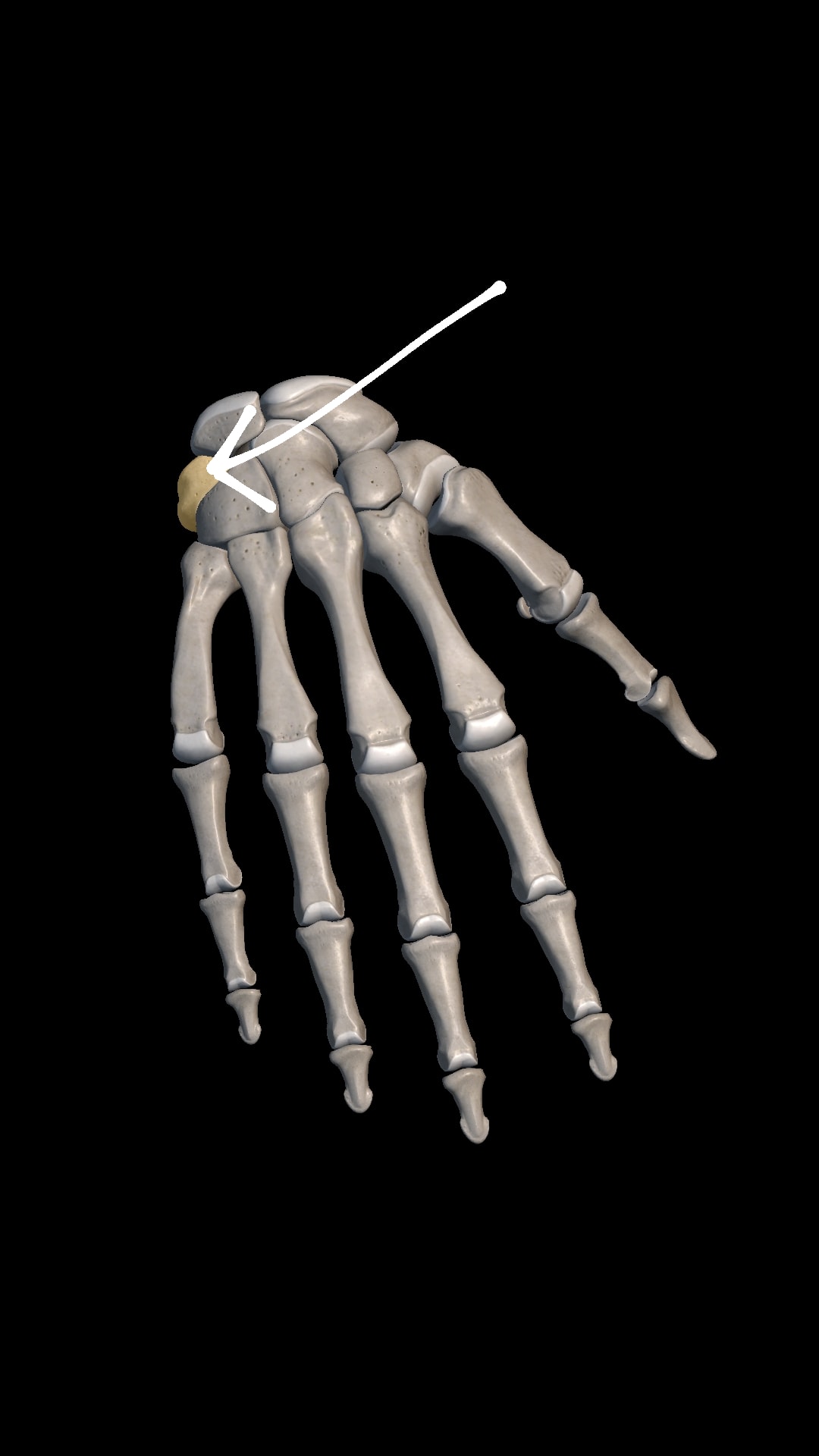 Imagem da questão