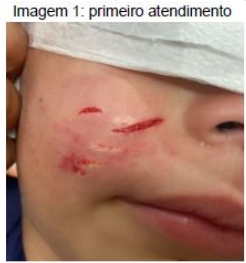 Imagem da questão