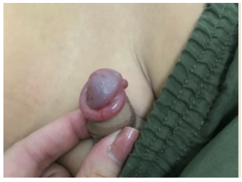 Imagem da questão