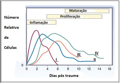 Imagem da questão