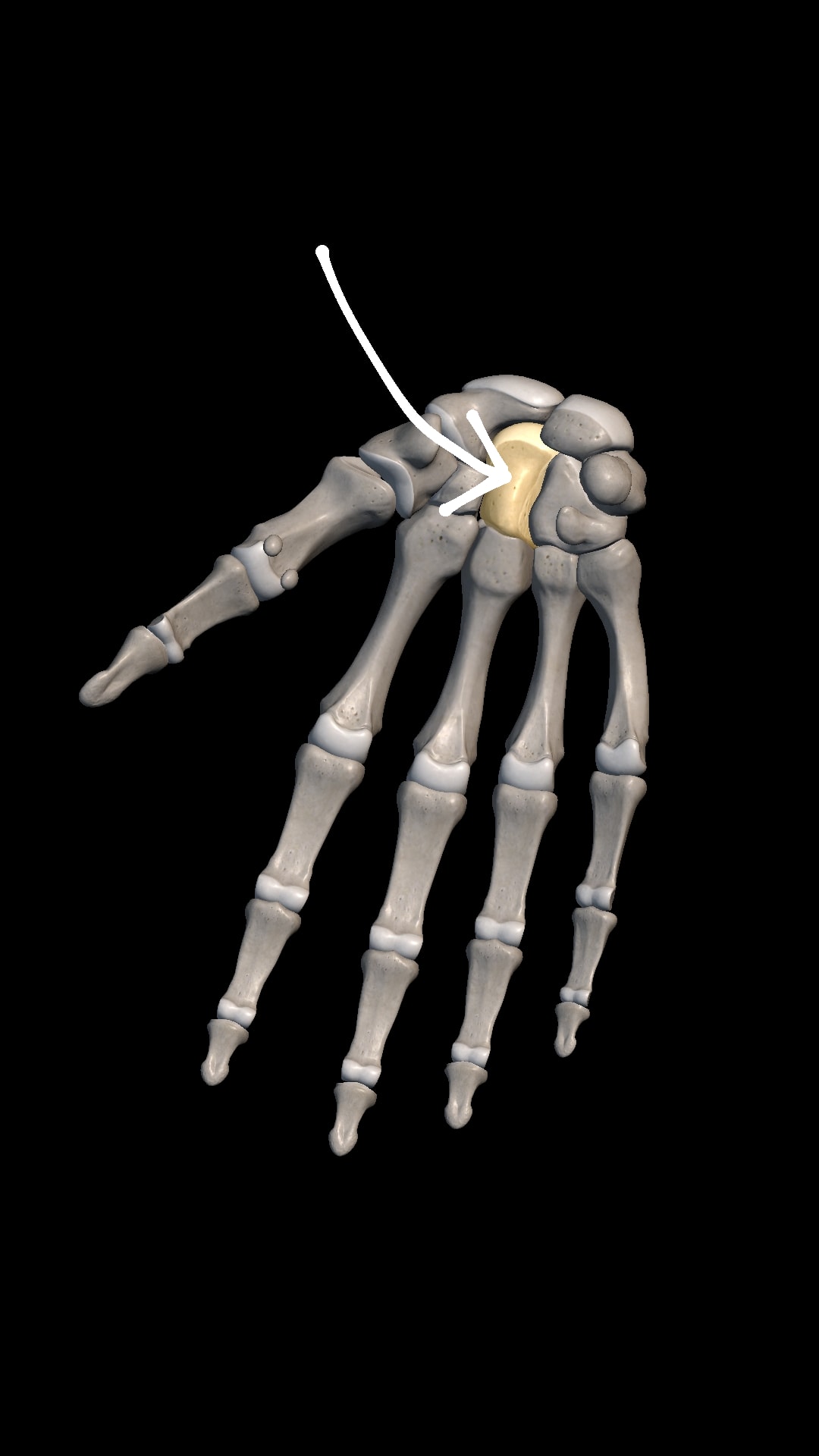 Imagem da questão