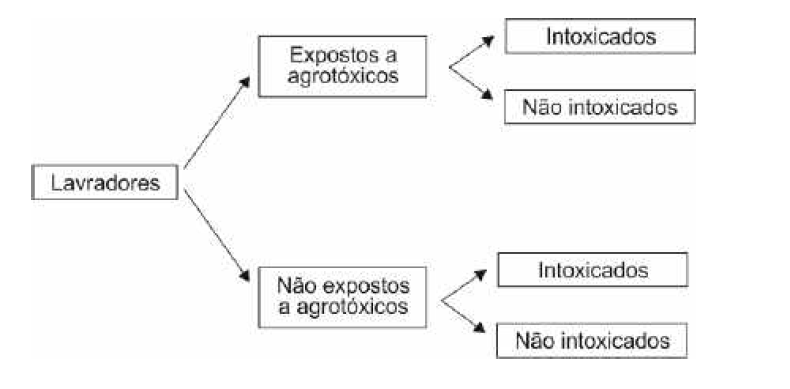 Imagem da questão