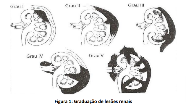 Imagem da questão