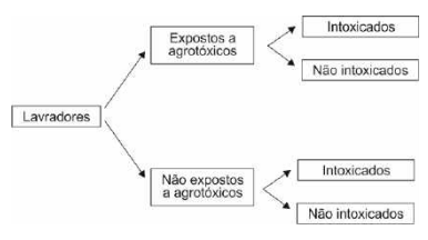 Imagem da questão