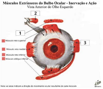 Imagem da questão