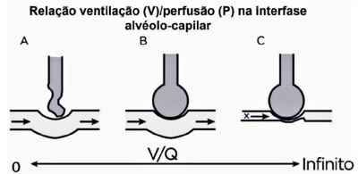 Imagem da questão