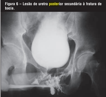 Imagem da questão