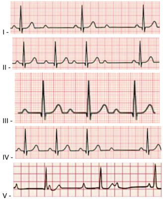 Imagem da questão