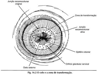 Imagem da questão