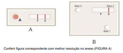 Imagem da questão