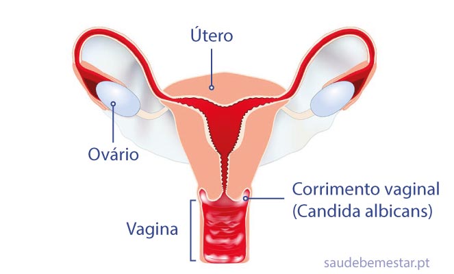 Imagem da questão