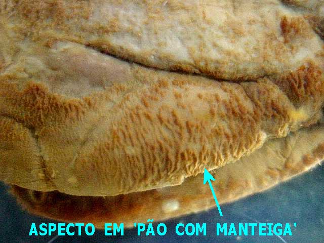 Imagem da questão