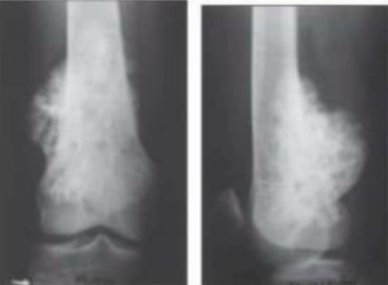 Imagem da questão