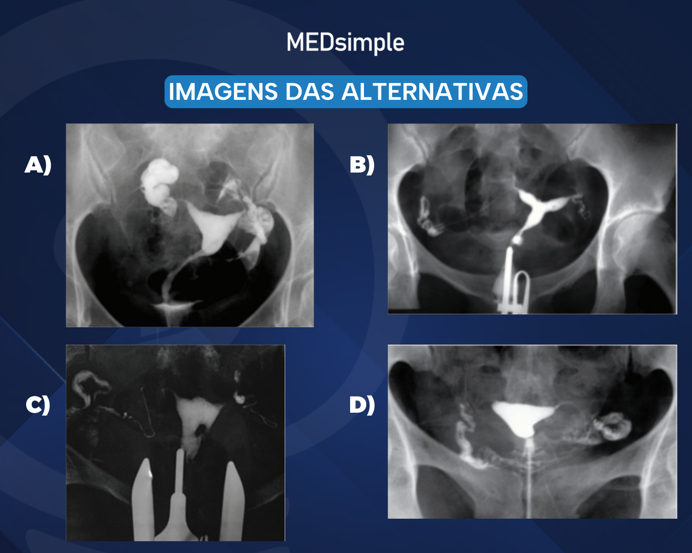 Imagem da questão