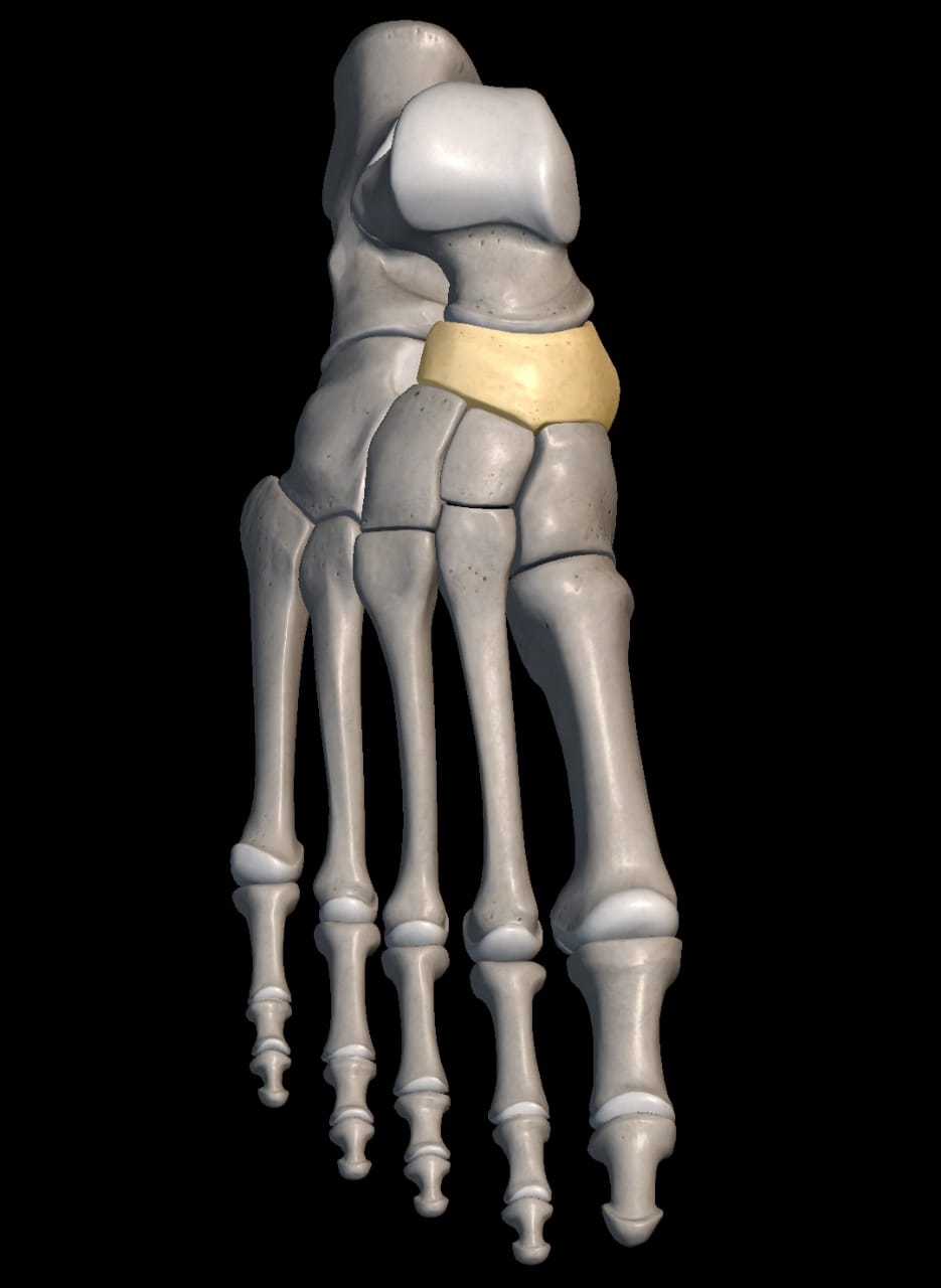 Imagem da questão