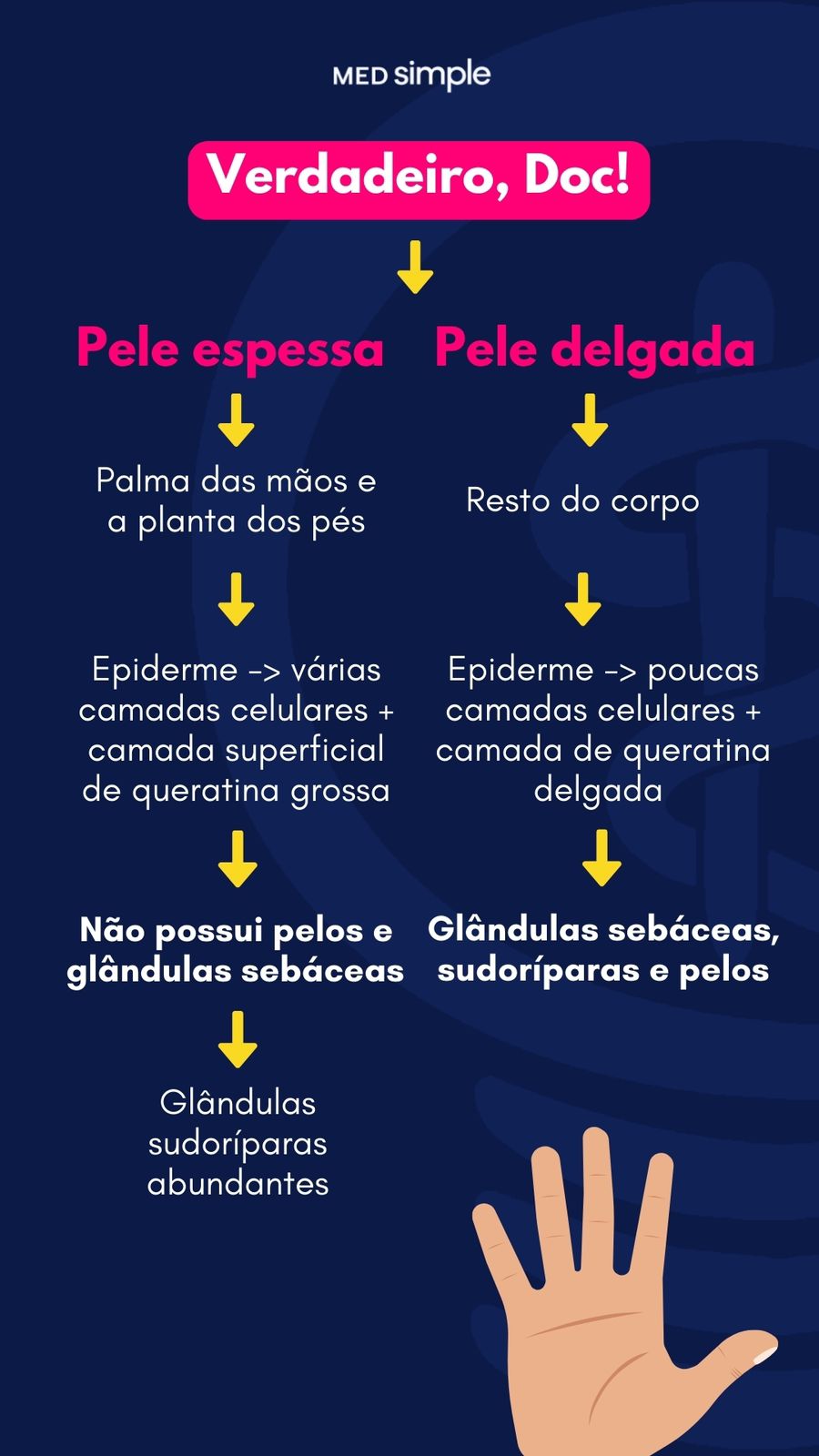 Imagem do stories