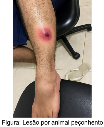 Imagem da questão