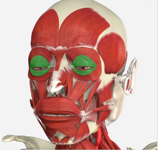 Imagem da questão