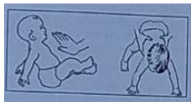 Imagem da questão