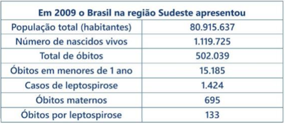 Imagem da questão