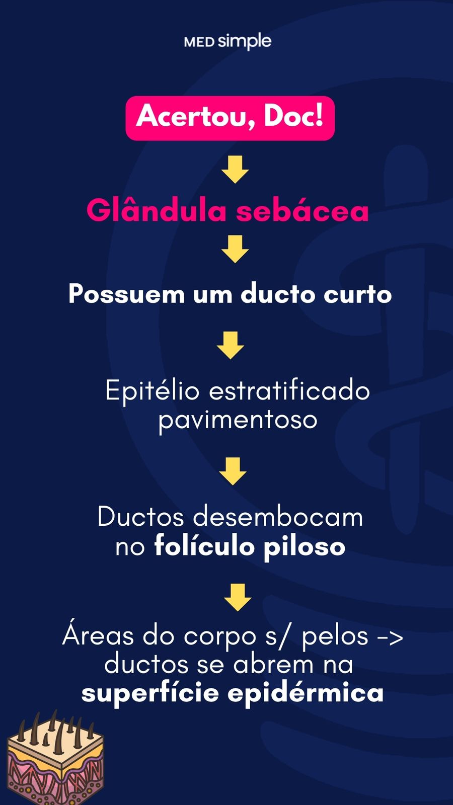 Imagem do stories