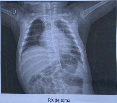 Imagem da questão