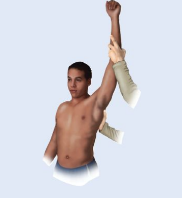 Imagem da questão